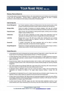 Free Professional CV Template Professional CV Experts