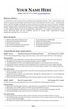 CV Examples Free Download